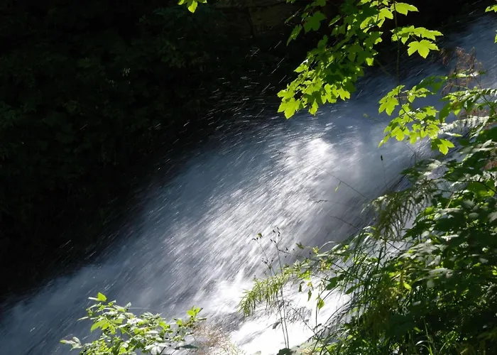 Bohemia 2 In By Interhome